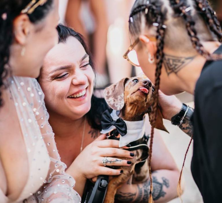 Sausage dog puppy wearing wedding tuxedo with wedding guest and bride at at-home Viking themed wedding