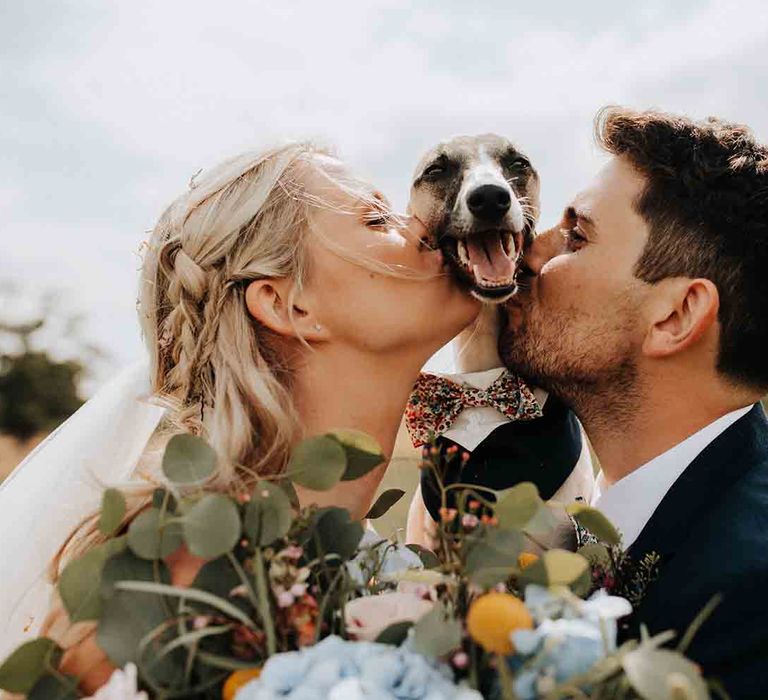 Bride and groom kiss their pet dog Bertie the Whippet