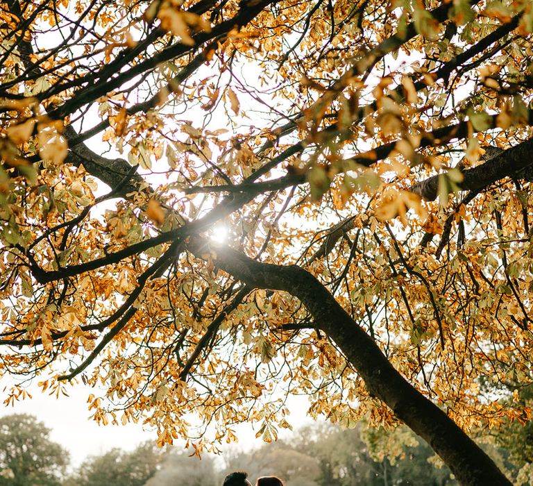 Bride & groom kiss beneath Autumnal tree outdoors during couples portraits