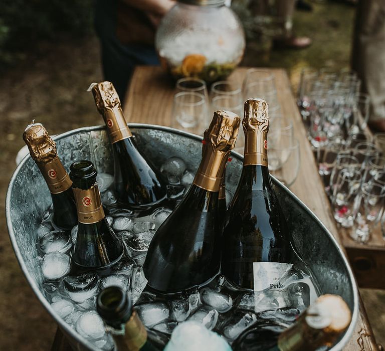 Champagne bottles in a trough 