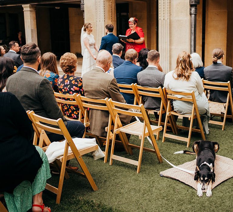 Pet dog at the wedding ceremony stretched out on a blanket 