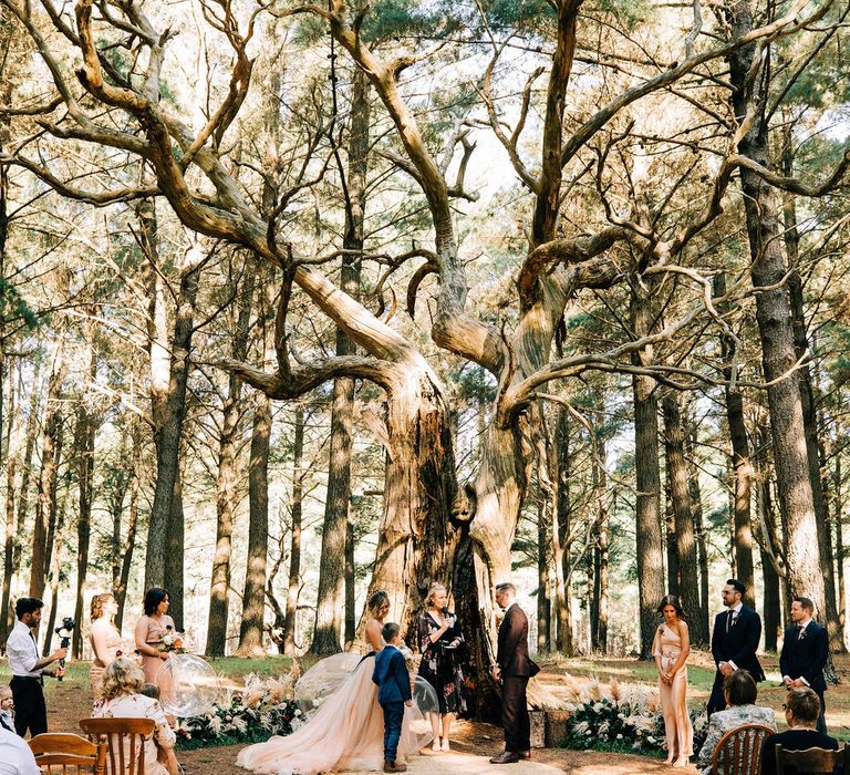 Forest wedding hand fasting ceremony in Australia