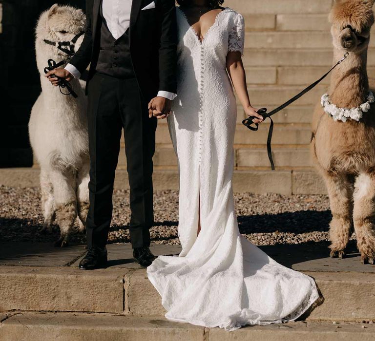 Bride in v neck short sleeve wedding dress with front slit and button detailing and groom in classic three piece black tuxedo with bowtie and white pocket square standing next to two wedding alpacas 