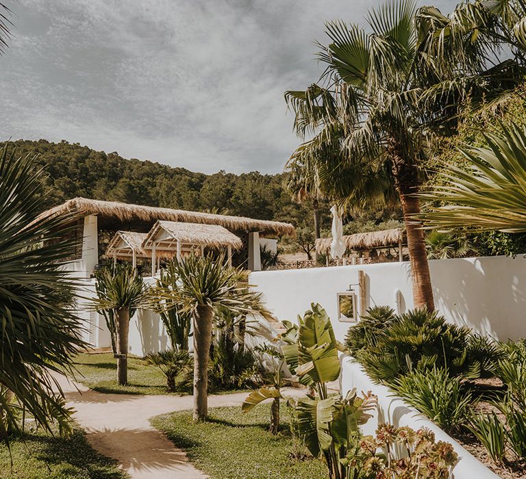 white walled gardens palm trees and grass huts at pure house ibiza