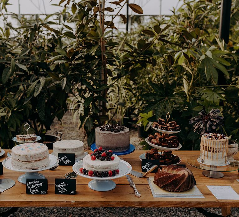 Rustic table full of cakes, brownies and cookies in front of greenery