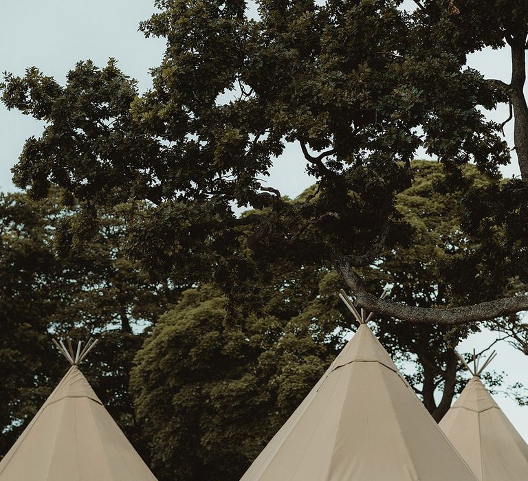 Wedding guests all socialise together outside large tipi tents 