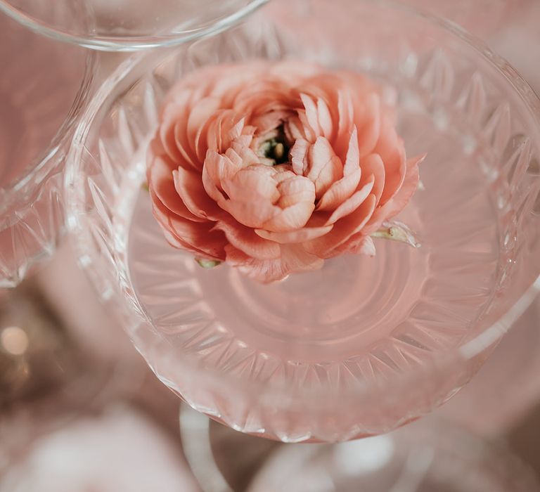 Pink flower floating in cocktail drink in champagne coupes 