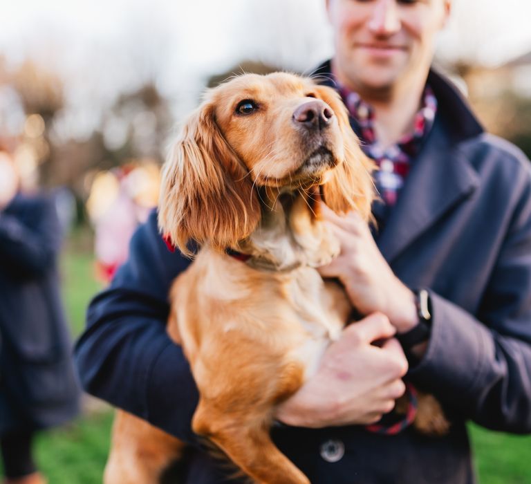 Wedding guest holds spaniel 