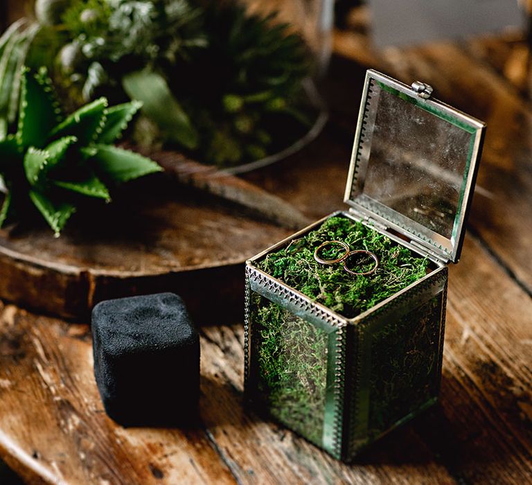 Gold wedding bands on moss in vintage styled box