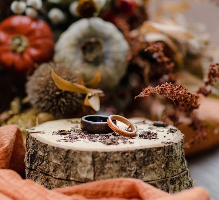 Two wooden wedding rings, one dark mahogany the other elm, on tree stump in the forest with harvest vegetables in the background