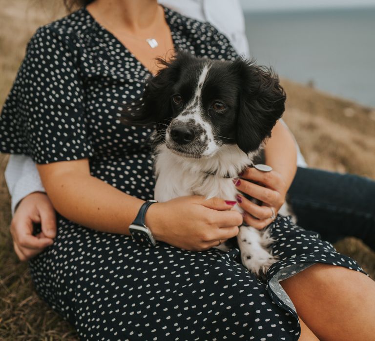 Pre wedding engagement shoot with dog