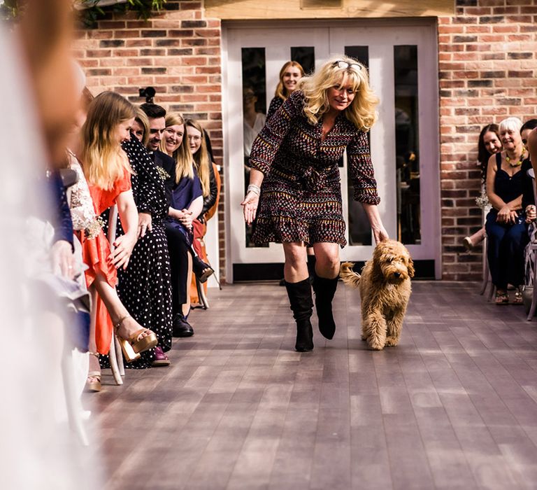 Pet dog walks down the aisle as ring bearer