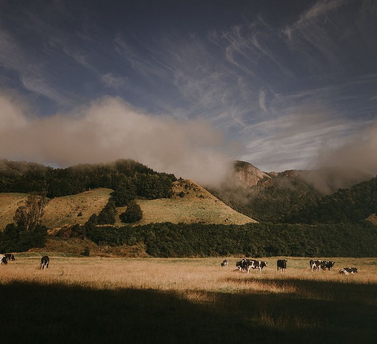 Stunning views across the New Zealand hillside