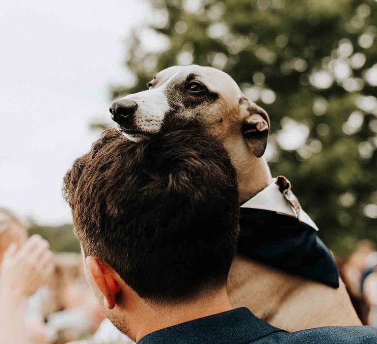 Couples dog at wedding