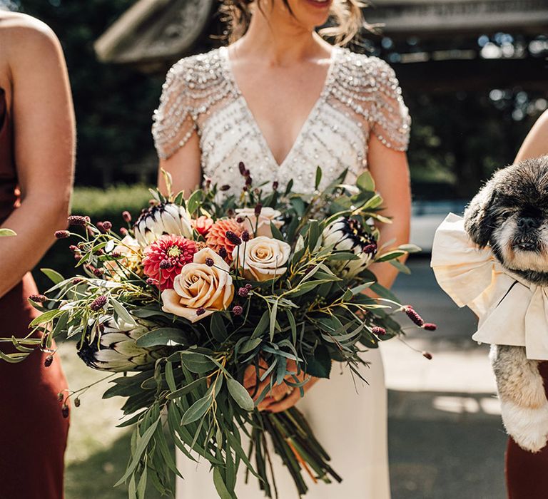 Pet dog ring bearer wearing a cream bow collar stealing the show