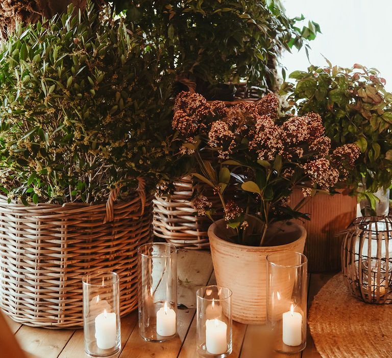 Mini pillar candles in hurricane vases with plant decorations for eco-friendly botanical wedding 