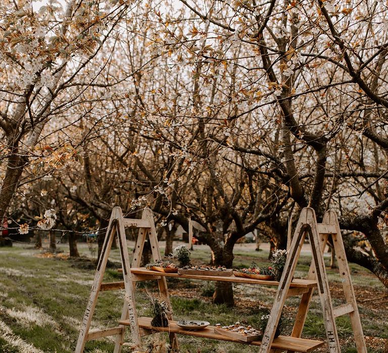 Bear Claw Catering canapés on wooden ladders in a forest 