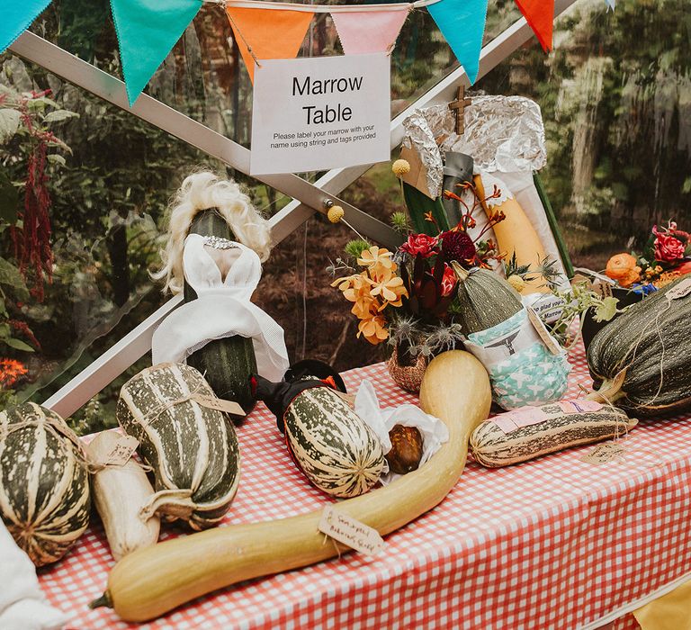 Best in marrow competition at back garden wedding with colourful bunting 