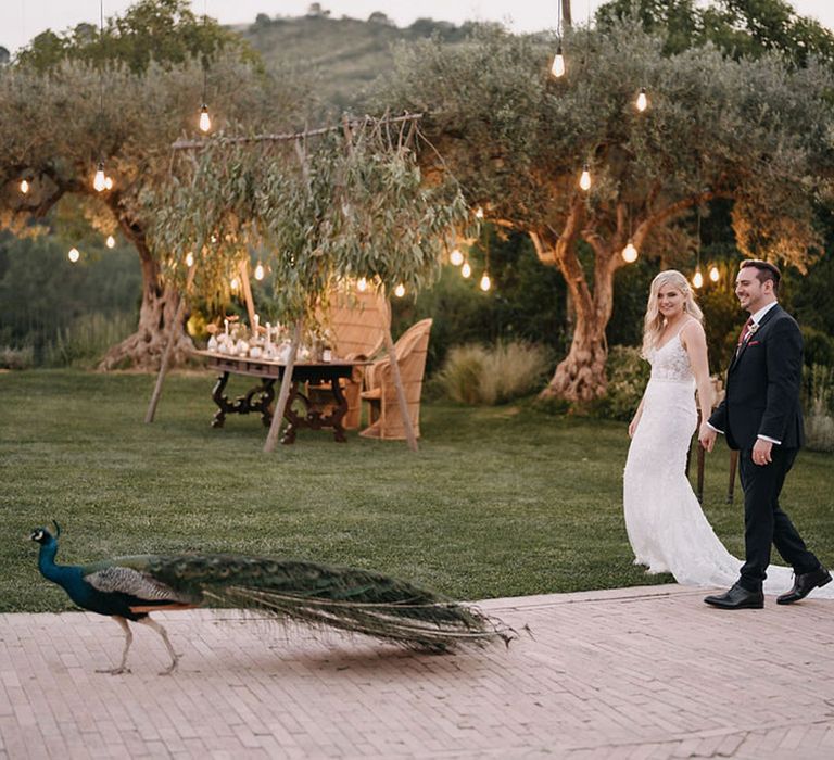 Bride and groom see peacock at their wedding day in Sicily 