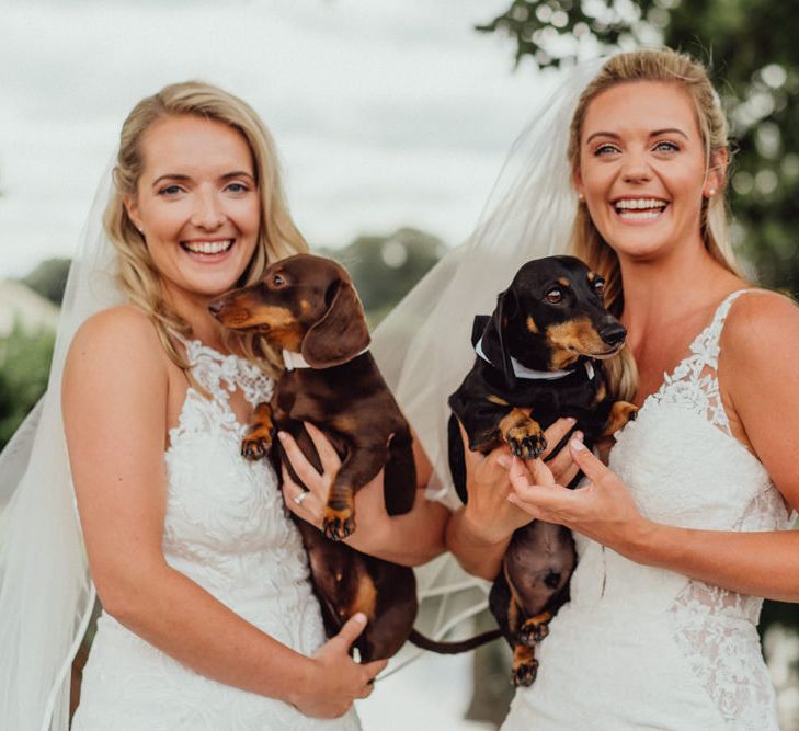 Brides hold their sausage dogs on their wedding day