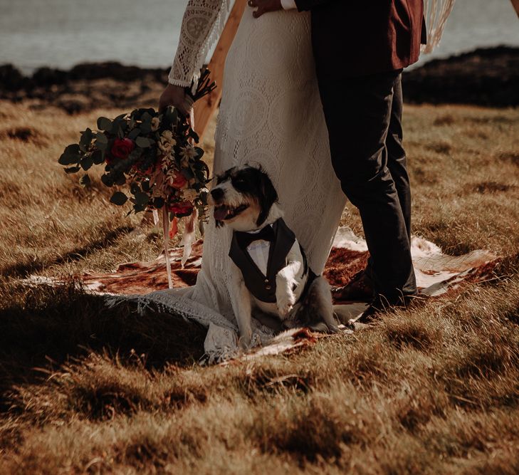 Ring-bearer Dog in suit shares joy with the married couple 