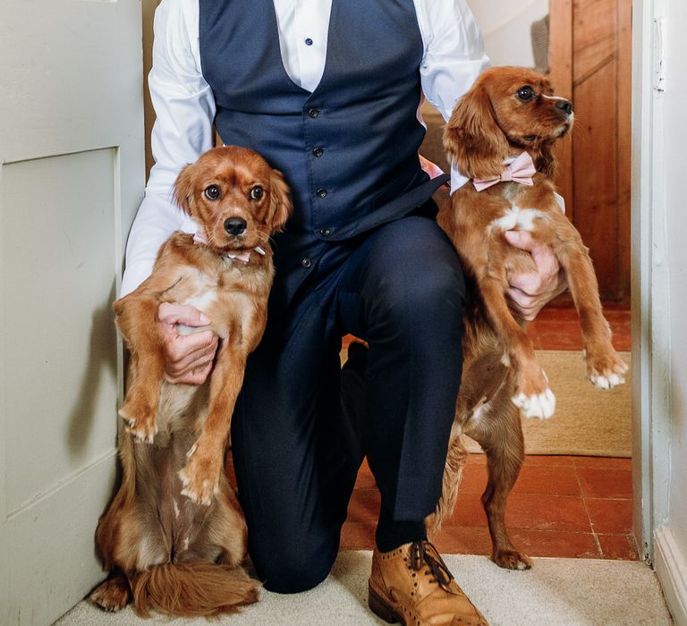 Smiling groom in navy Cad & the Dandy waistcoat kneeling with two dogs in pink bow ties