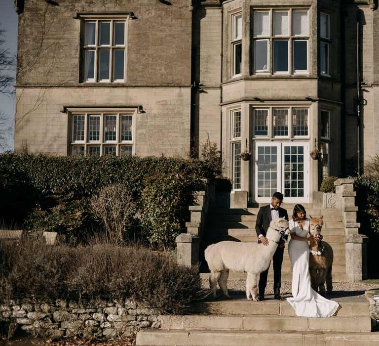 Bride and groom standing outside Manor House wedding venue in Yorkshire, posing with two alpacas 