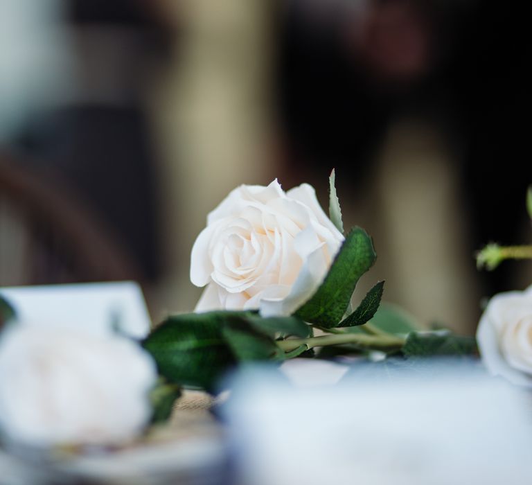 White rose with green stem