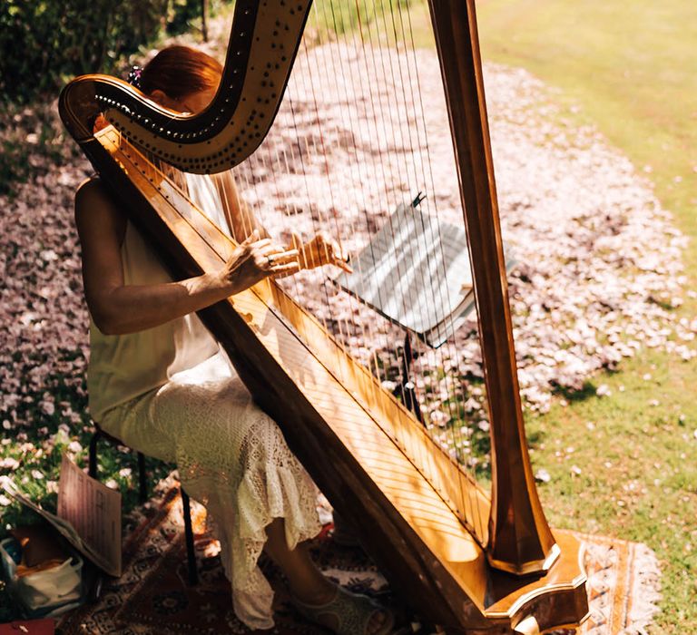 Harpist plays for the wedding ceremony and reception 