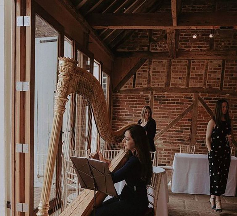 Harpist musician entertaining at wedding