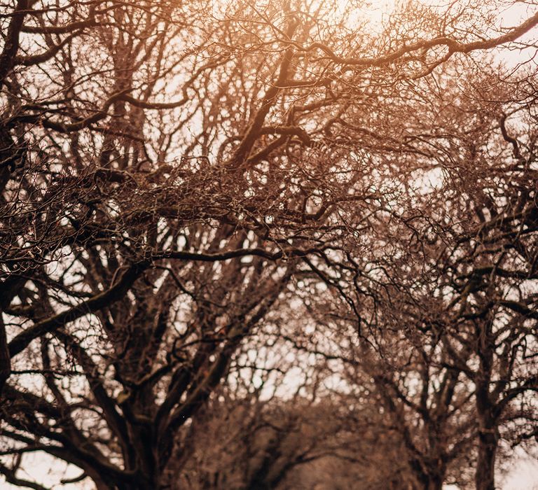 Bride & groom kiss under trees in the winter and bride wears white shawl 