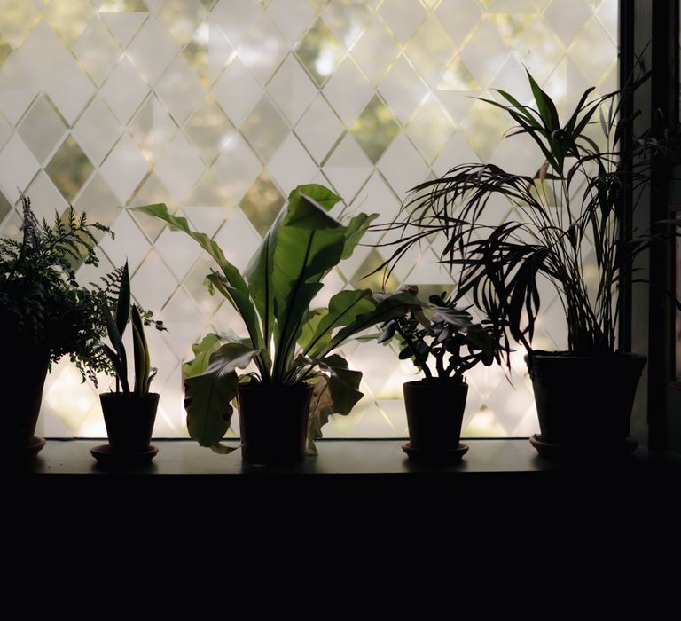 Botanical plant wedding decor at The Ivy, Birmingham 