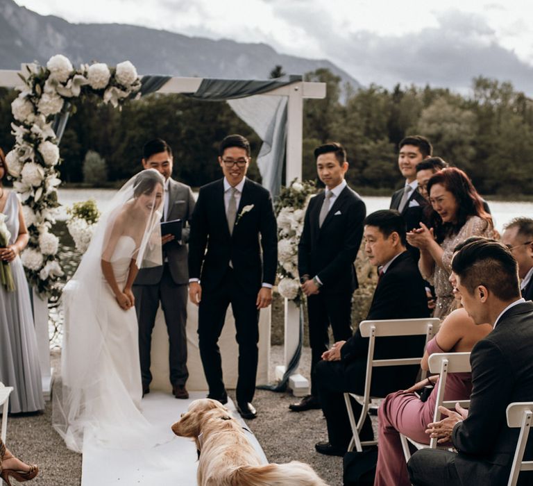 Golden retriever ring bearer walking down the aisle 