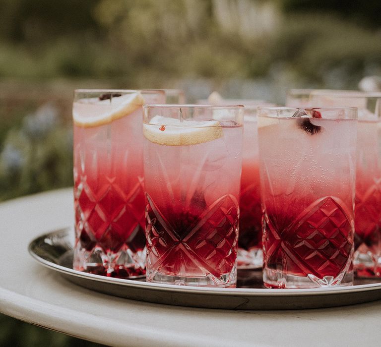 Red and pink wedding cocktails with berries and lemon 