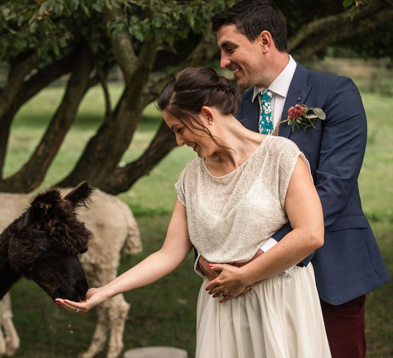 Bride & groom feed alpacas outdoors