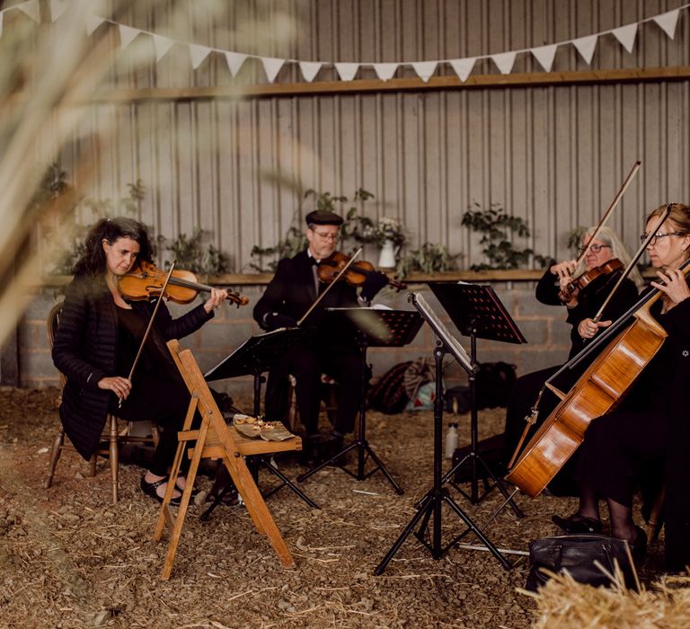 String quartet sat on wooden chairs in a barn decorated with bunting, hay bales and plants at home farm wedding