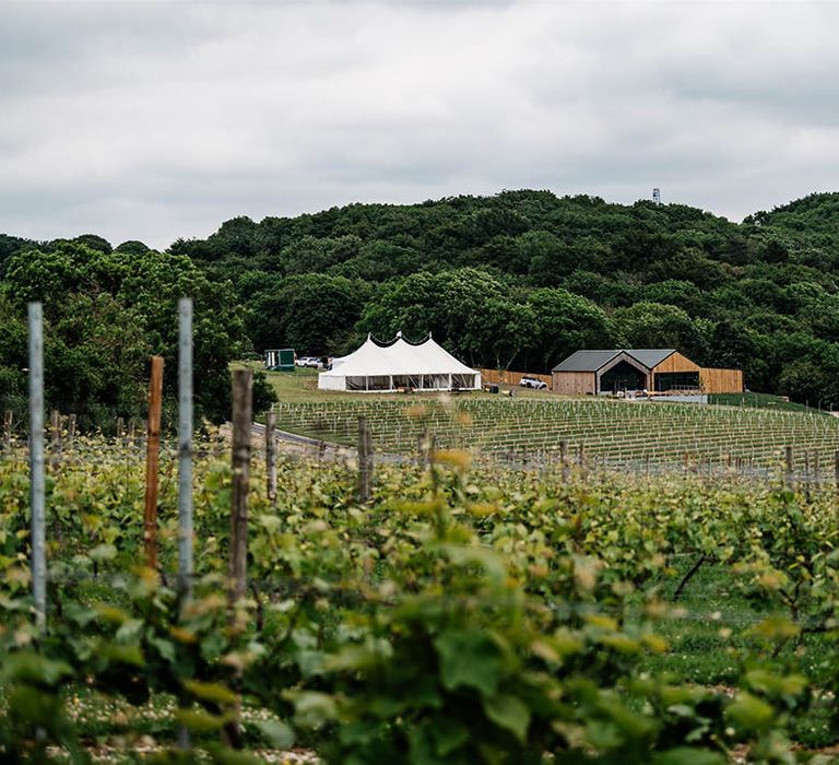 Little Wold Vineyard wedding venue in Yorkshire 