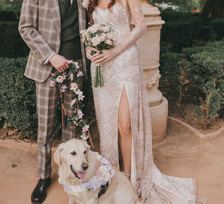 dog flower collar at wedding