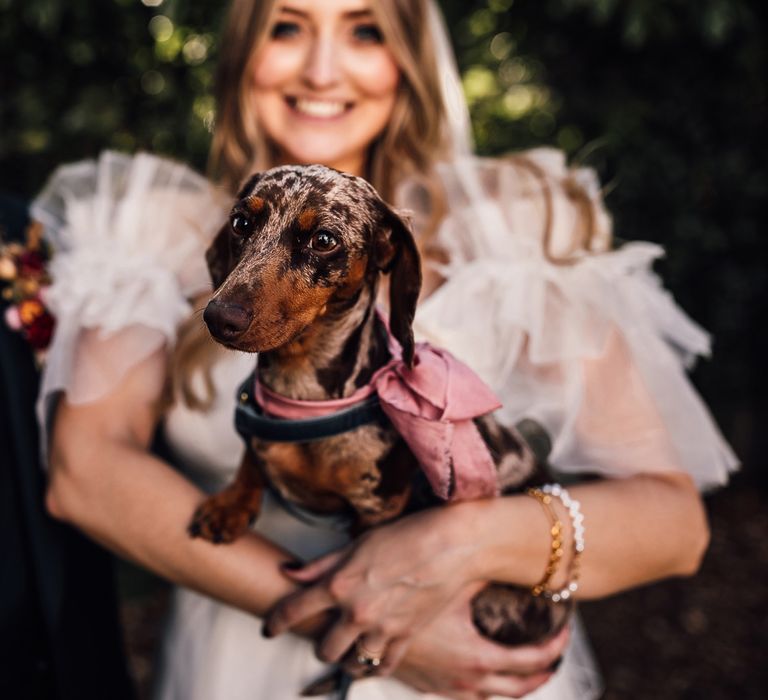 Bride in white Halfpenny London Mayfair dress stands with groom in blue suit and patterned tie as she holds daschund in pink bow at garden wedding reception in Cornwall