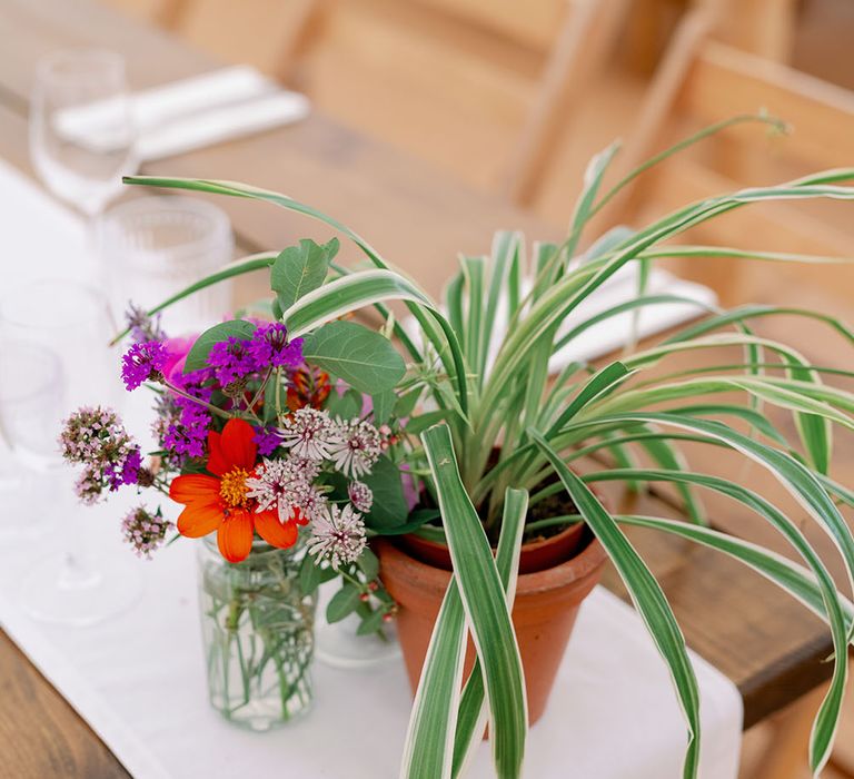 Potted plants sit on white tablecloth during reception in marquee 