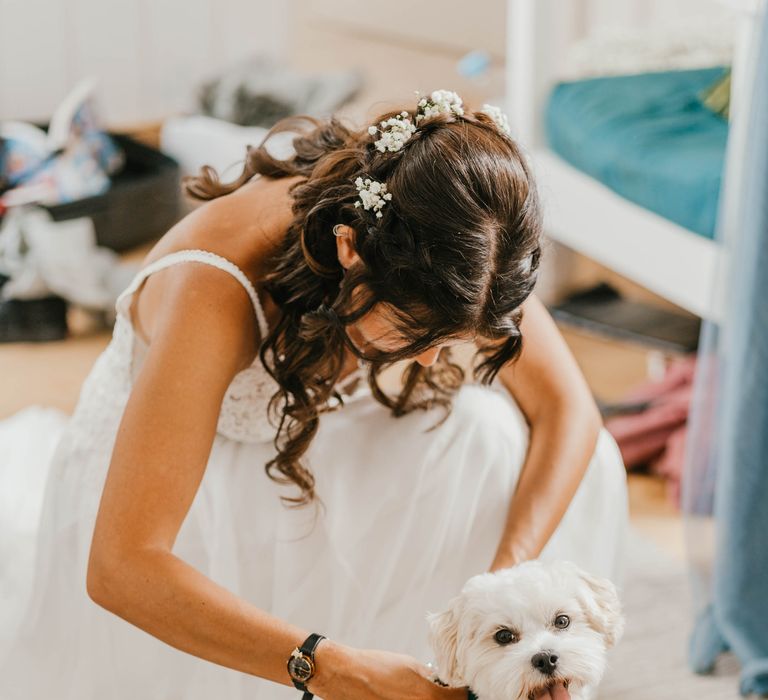 Bride leans down to place harness on white dog on her wedding day