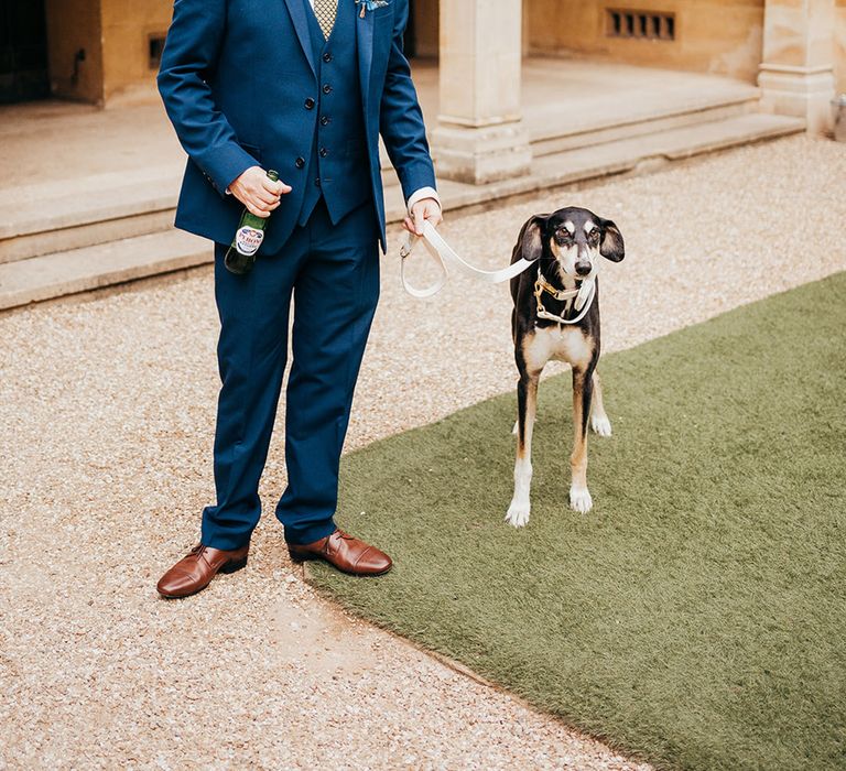 Groom in navy blue three piece suit with colourful buttonhole an bottle of beer holding dog on a lead 