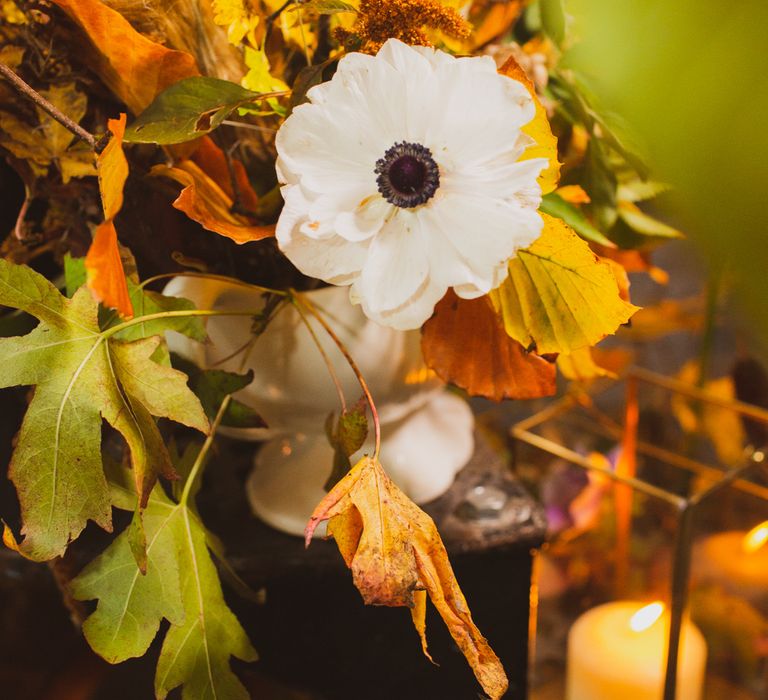 Close up shot of sustainable flowers