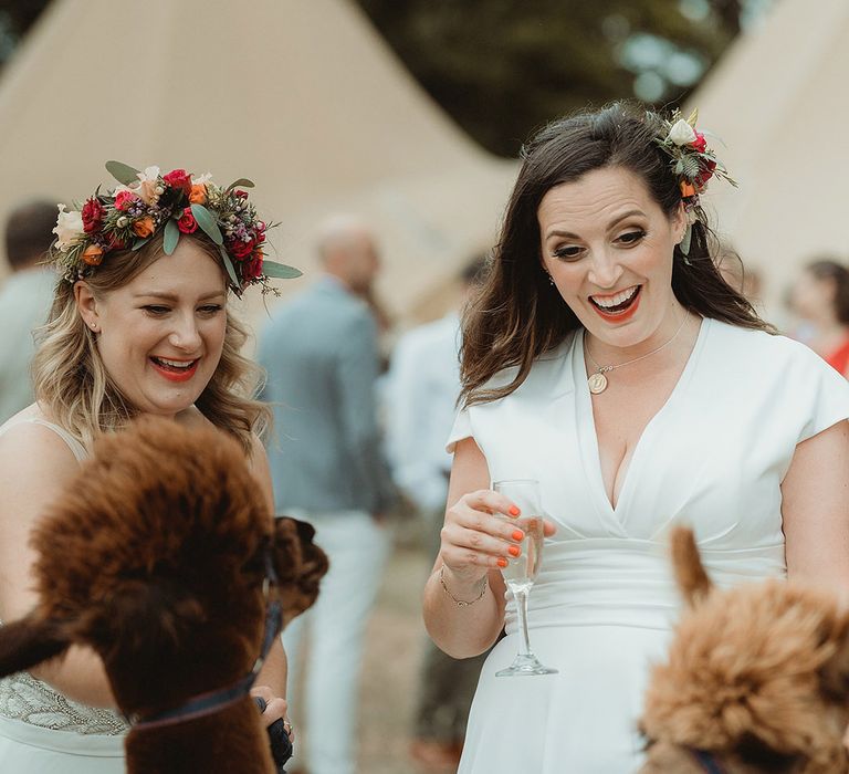 Brides holding glasses of champagne greet their alpacas at their wedding 