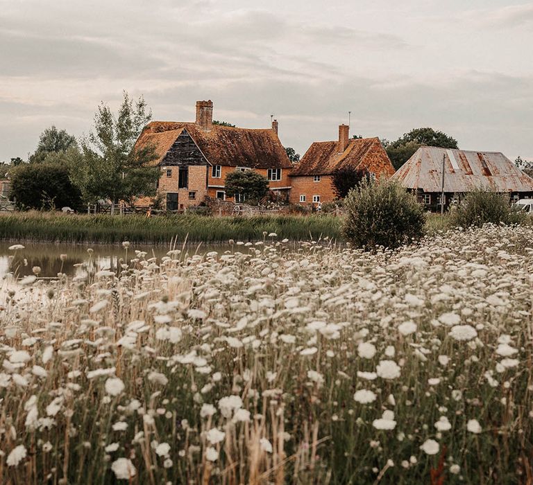 The House Meadow in Kent wedding venue with field of daisies 