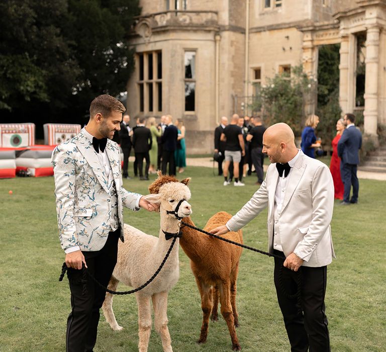 Luxury Orchardleigh Estate country house wedding complete with alpacas 