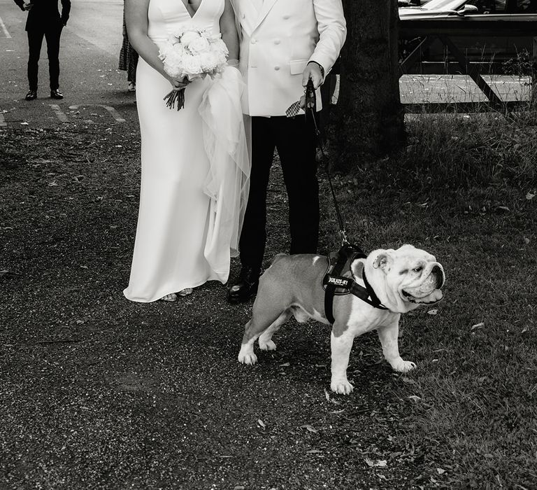 Smiling groom in white tuxedo jacket stands with smiling bride in white Made With Love wedding dress and white chapel length veil holding English bulldog on a lead