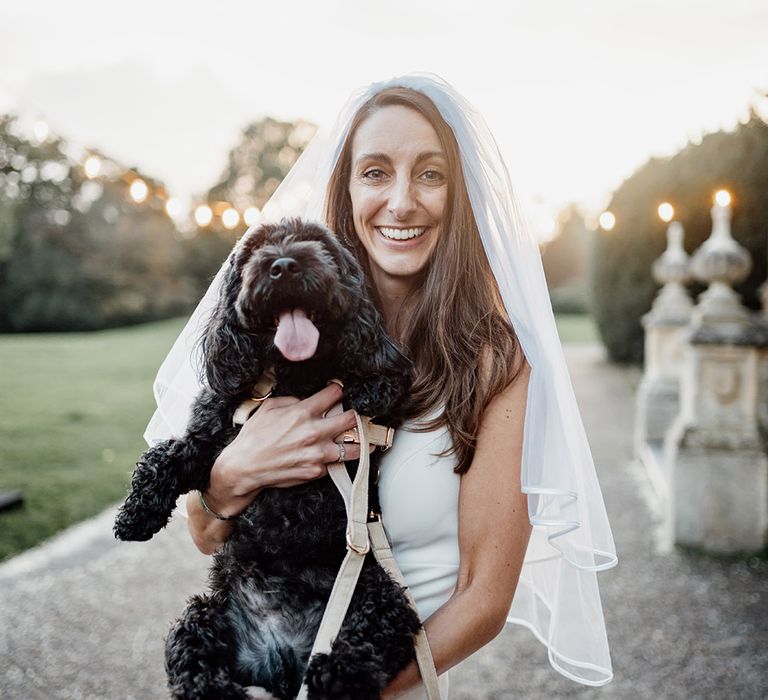 Bride holding pet dog sticking out his tongue being held by the bride for cute photo 