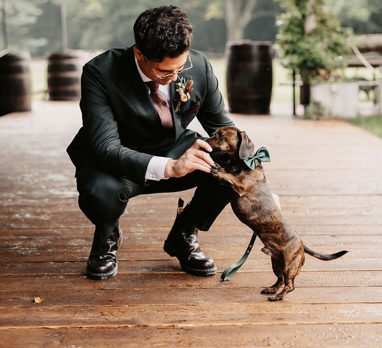 Groom and his pet sausage dog before wedding ceremony