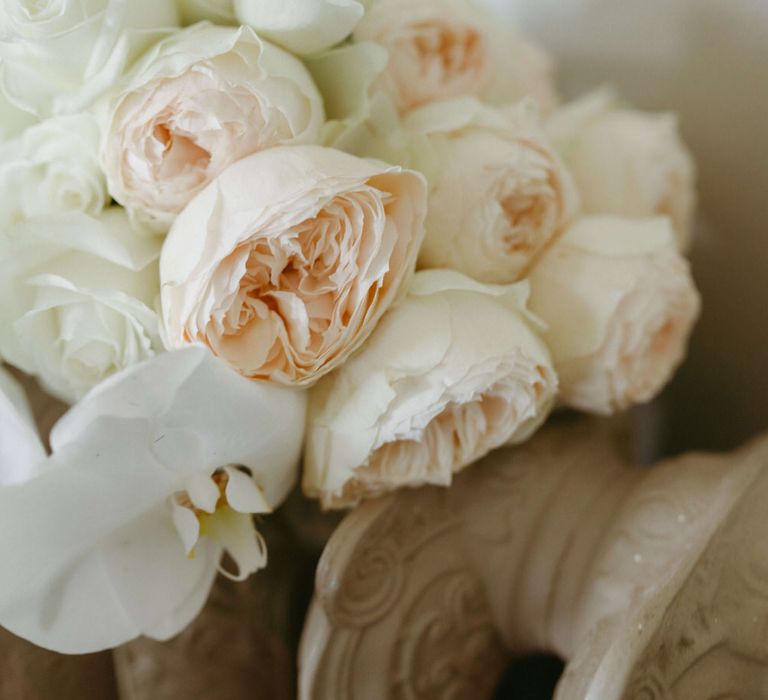 A bouquet of white peonies